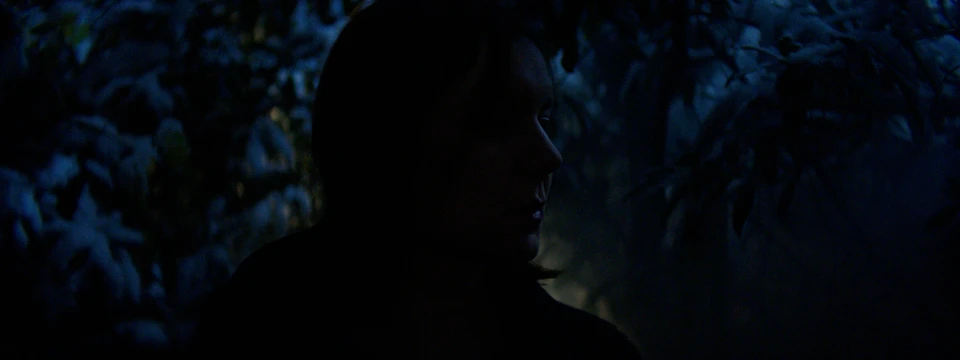 Wird nicht aufhören - Gallery Image 1