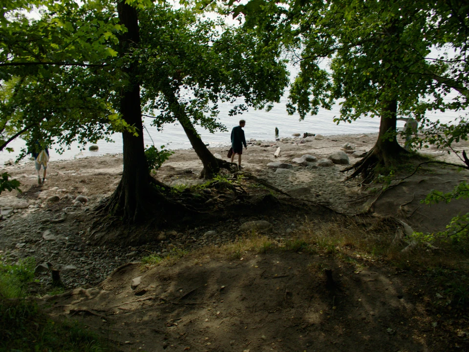 Octopus and Moray - Gallery Image 1