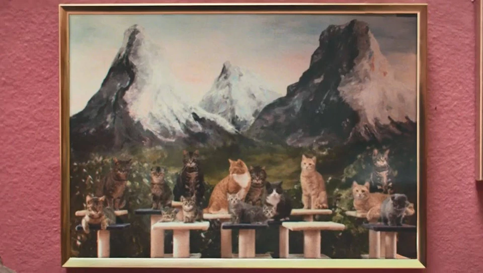 E.ON - Cat Mansion. Power to the Cats