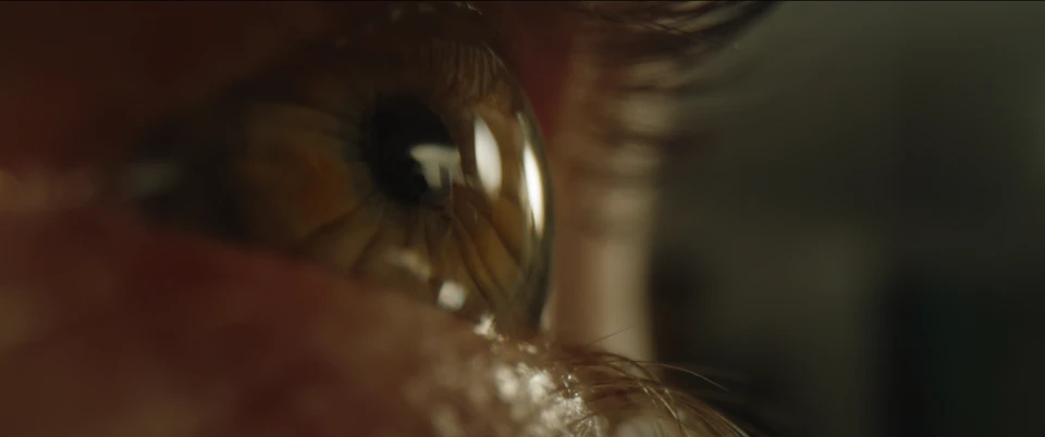 Coins - Gallery Image 4