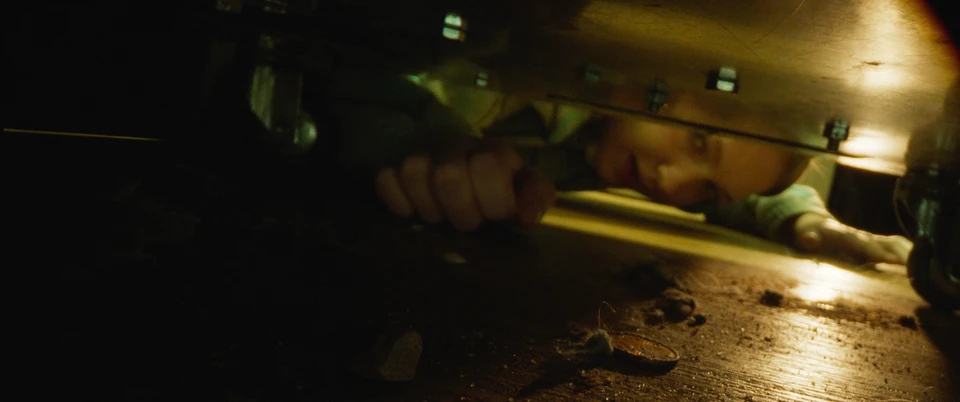 Coins - Gallery Image 6