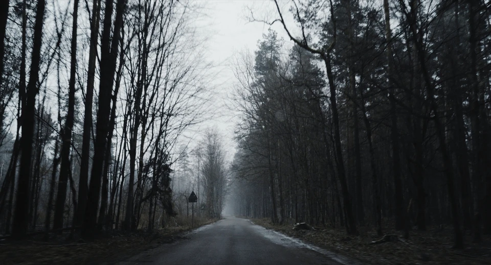 Borders - Gallery Image 2